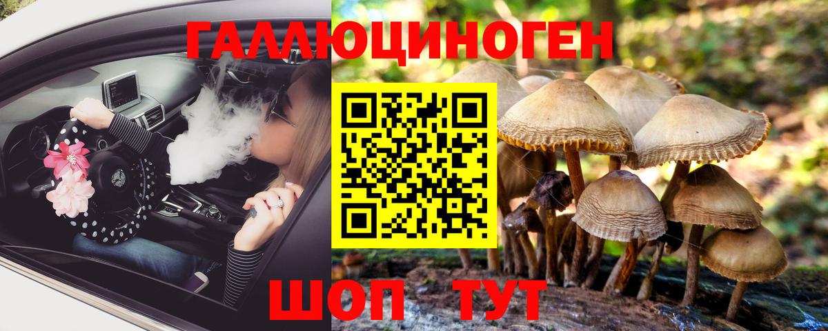 Галлюциногенные грибы Psilocybe Шадринск
