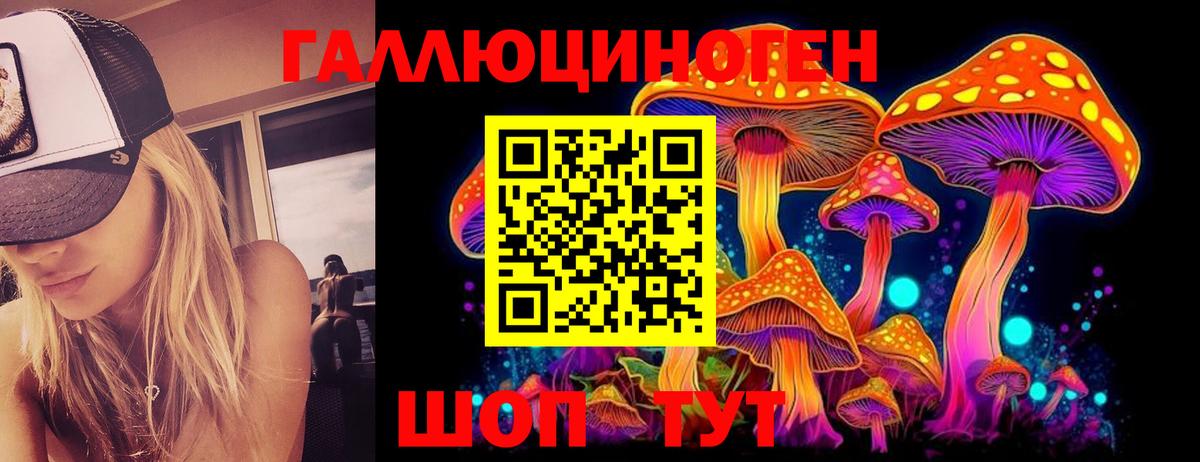 Шадринск  Псилоцибиновые грибы Psilocybine cubensis  Вход с VPN  Галлюциногенные грибы Psilocybine cubensis 